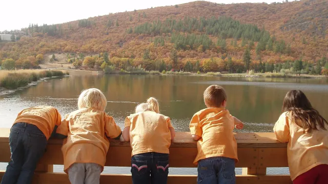 Children exploring nature together in a park
