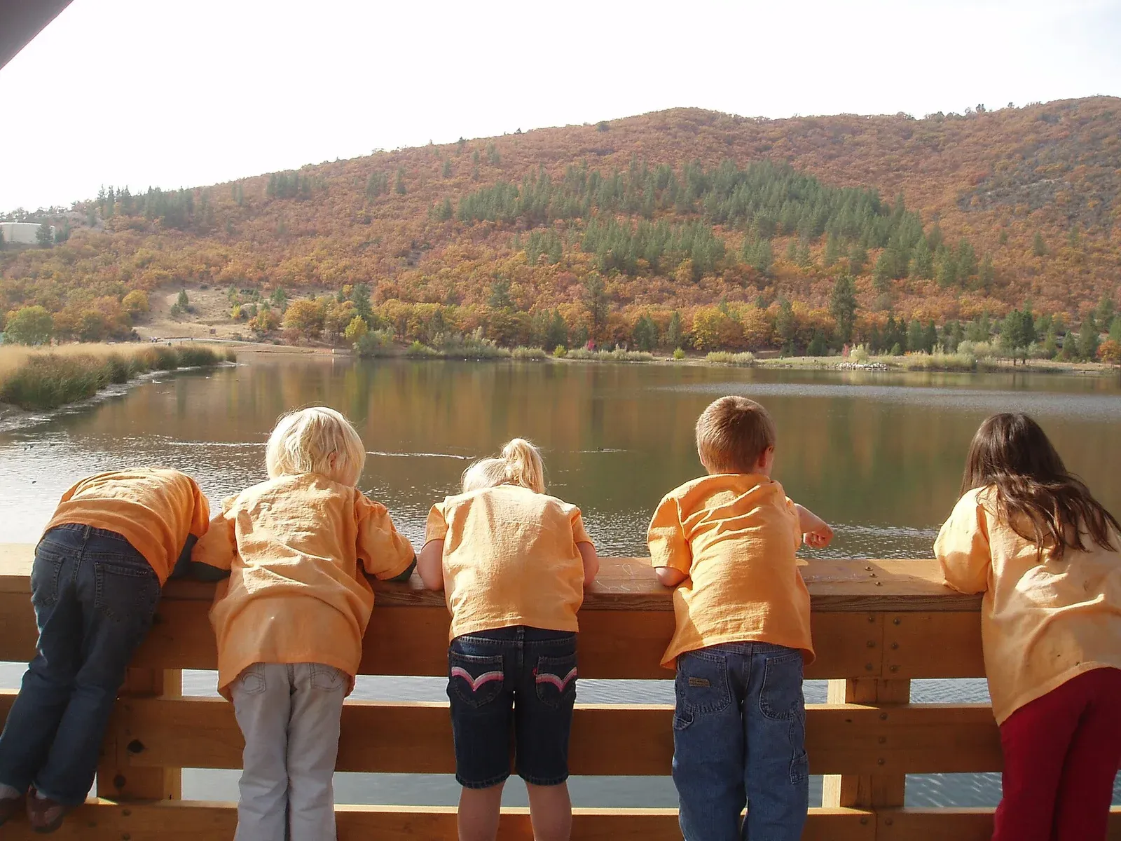 Children exploring nature together in a park
