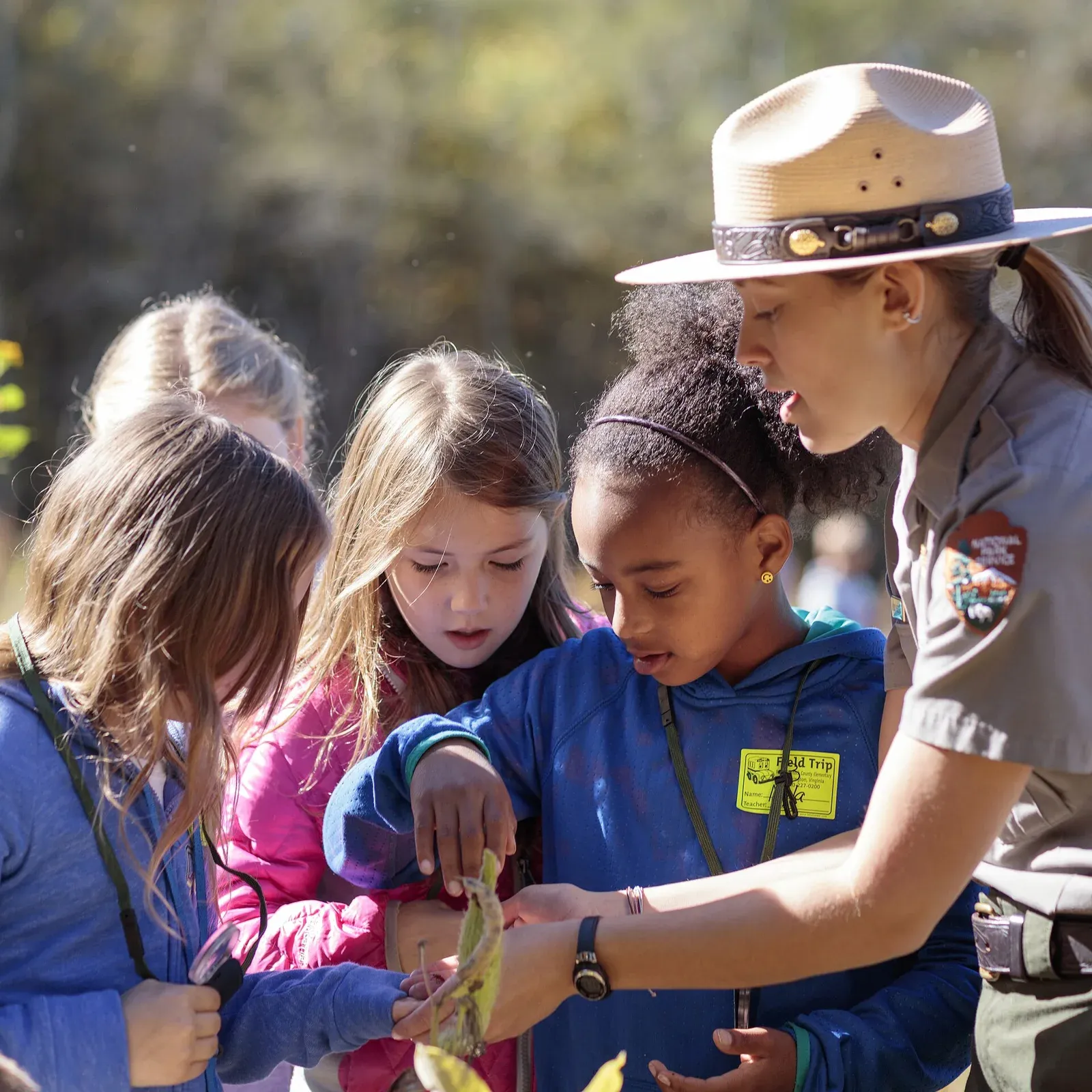 Children examining a nature find with a park ranger