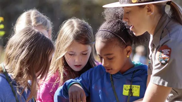Children examining a nature find with a park ranger